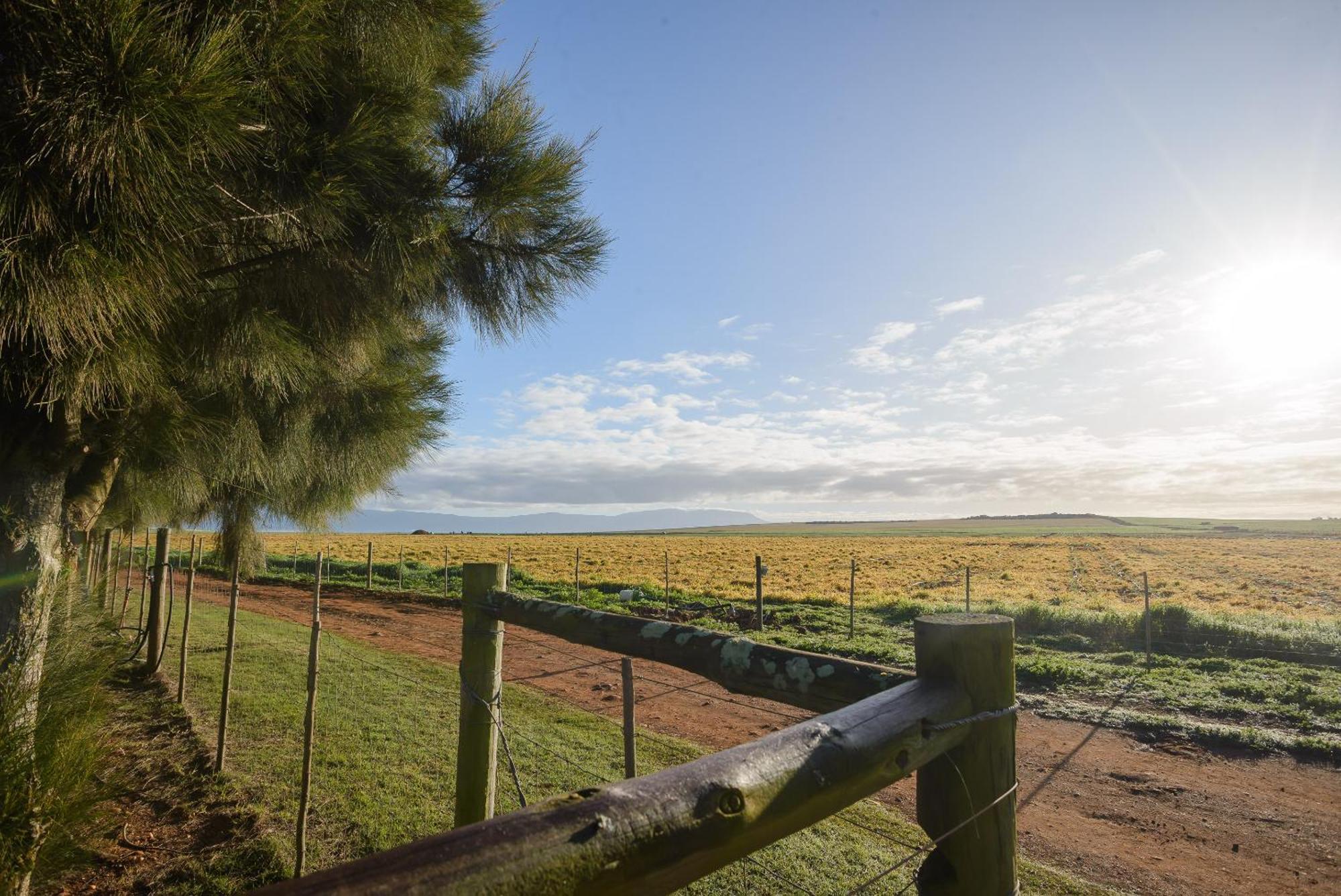 Oorvloed Guesthouse Swellendam Esterno foto